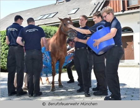 Feuerwehrleute beim Gruppenführer-Kurs in der Pferdeklinik Aschheim 