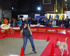 Dogdance - Münchner Heimtiermesse 2013