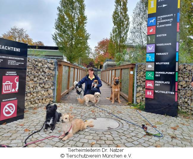 Tierheimleiterin Dr. Natzer mit eingien Hunden am Eingangstor des Tierheims
