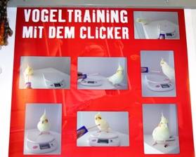 Plakat mit Anleitung zum Vogeltraining
