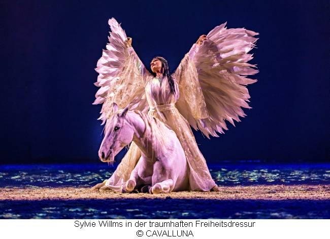 Sylvie Willms in der traumhaften Freiheitsdressur