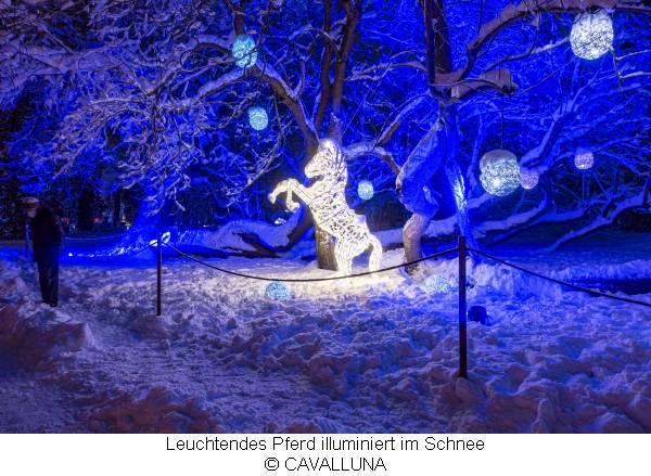 Leuchtendes Pferd illuminiert im Schnee