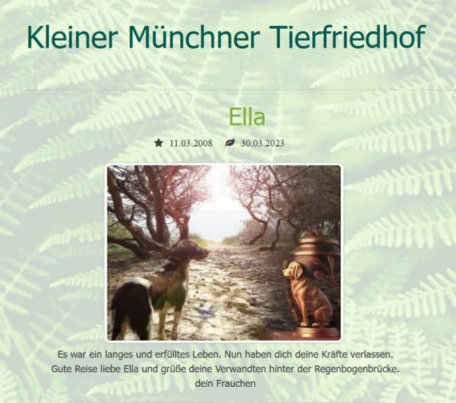 Trauereintrag für Ella in Tierportal Münchens "Kleinem Münchner Tierfriedhof"