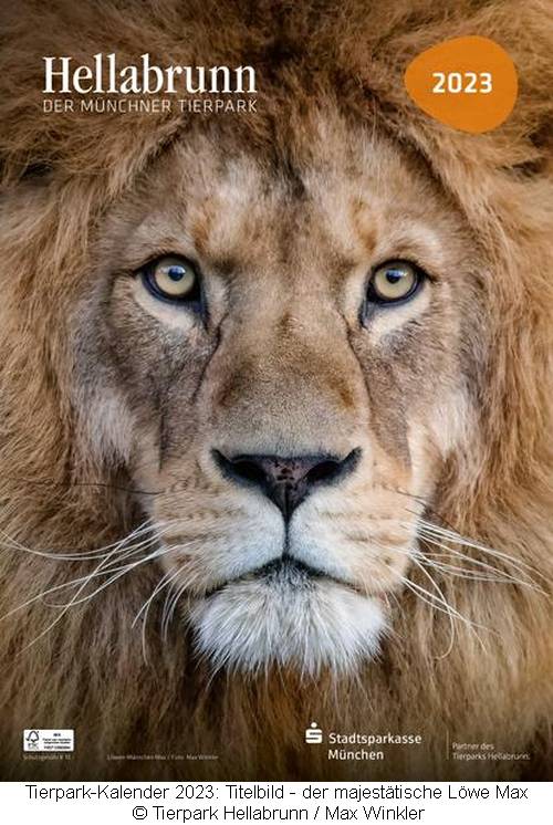 Tierpark Kalender 2023 - auf dem Titelbild - der majestätische Löwe Max