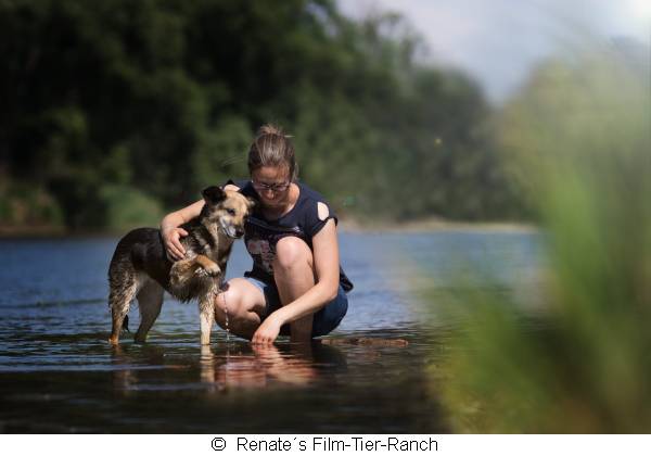 Frau mit Hund am Wasser: Seminar: Eine Auszeit für Zwei-und Vierbeiner 