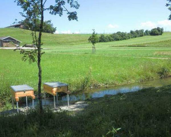 Waldboden -Erkundung