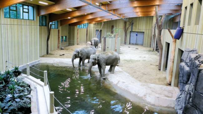 Elefantanhaus im Zoo Augsburg