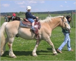 Kinder reitet auf einem geführten Pferd