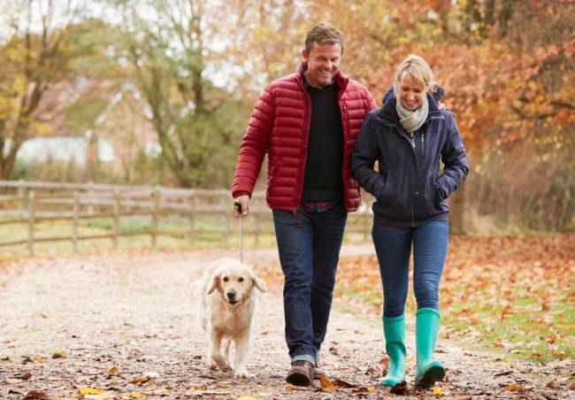 Ein Paar geht mit Hund auf herbstlichem Weg