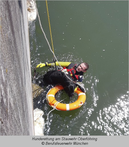 Feuerwehrmann im Wasser mit Hund im Rettungsring daneben