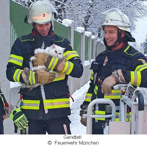 Die weiße Katze auf dem Arm eines Feuerwehrmannes