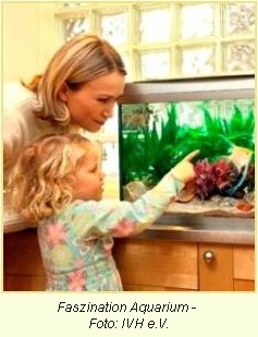 Frau und Kind am Aquarium 