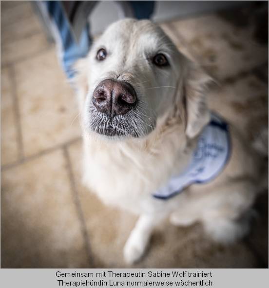 Hündin Luna wird mit dem Spendengeld ihre Therapiehund-Ausbildung auch  fortsetzen können