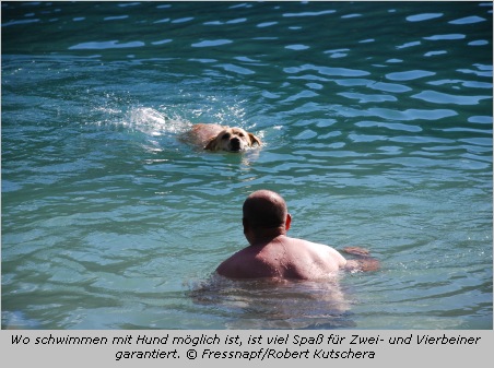 Hund und Herrchen schwimmen im See 