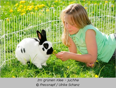 Kaninchen mit Mädchen auf der Wiese