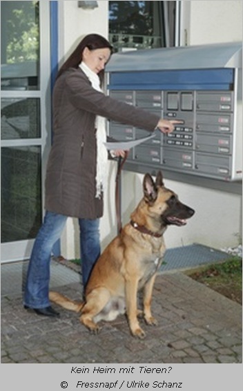 Hund mit Frauchen am Briefkasten