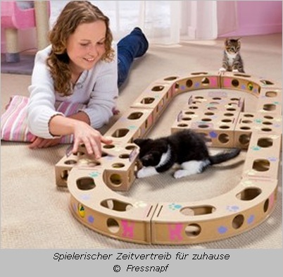 Frau spielt mit Katze mit einem Tunnelsystem
