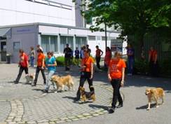 Dogdance fuer Besucherhunde