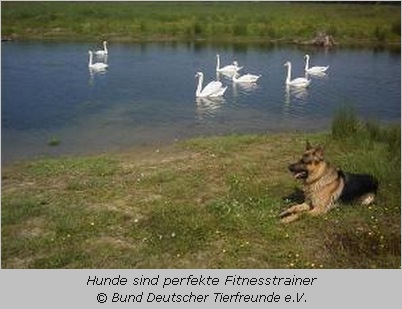 Hund als Fitnesstrainer 