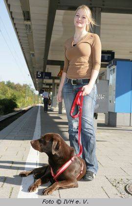 Frau mit Hund am Bahnsteig 