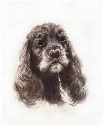 Portrait von Hund Lenny