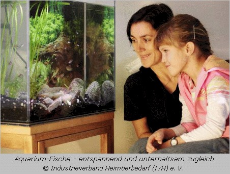 Mutter und Tochter schauen in ein Aquarium  