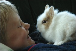 Junge mit Kaninchen