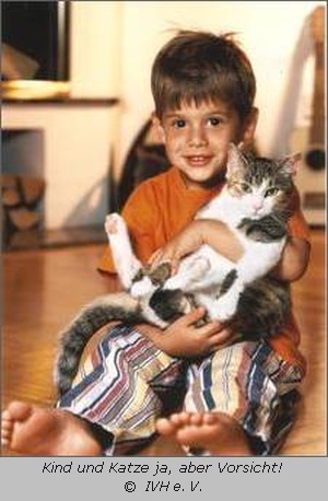 Kleiner Junge mit Katze 