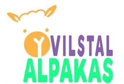 Vilstal Alpakas | Erleben Sie Alpakas hautnah!