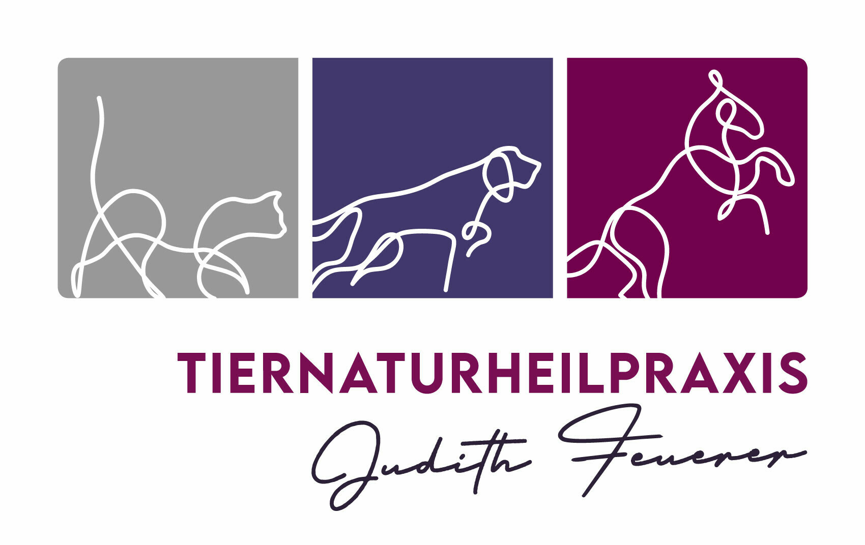 Tiernaturheilpraxis Judith Feuerer | Naturheilverfahren | Ernährungsberatung