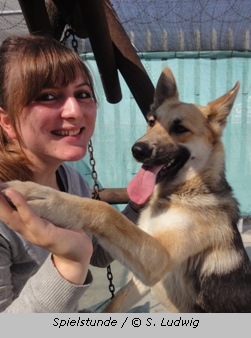 Susanne Ludwig mit einem Schäferhund im Tierheim in Kapstadt