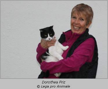 Dorothea Friz