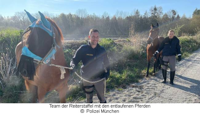 Ein Team der Reiterstaffel der Polizei mit den beiden entlaufenen Pferden  