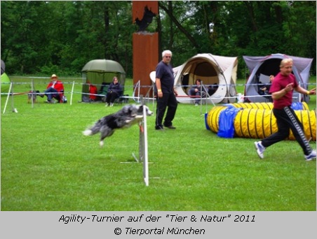Agility-Turnier auf der "Tier & Natur" 2011 in Fürstenfeldbruck