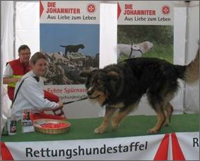 Stand der Johanniter Rettungshundestaffel