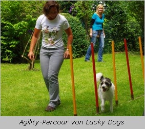 Agility Parcours von Lucky Dogs