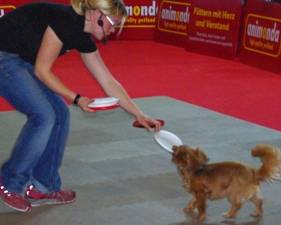 Hundefrisbee - Münchner Heimtiermesse 2013