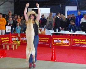 Dogdance - Münchner Heimtiermesse 2013
