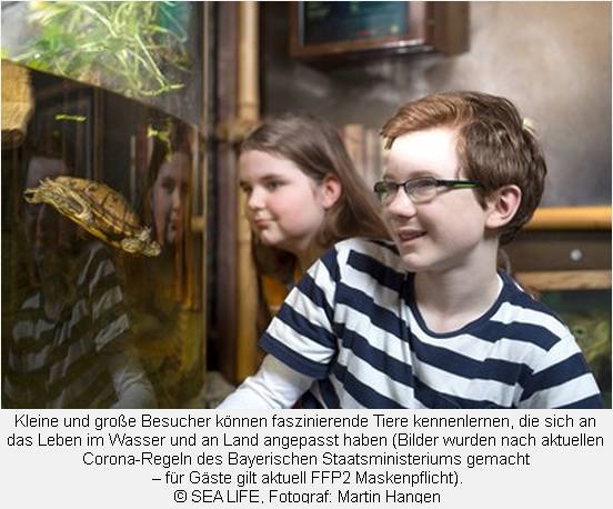 Kinder bestaunen Schildkröten auf der Tropeninsel im SEA LIFE München