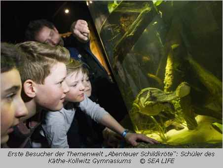 Kinder beobachten Schildkröten in einem Aquarium