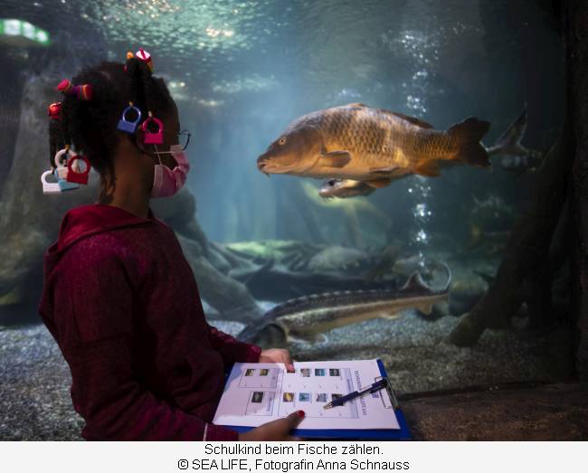 Mädchen sitzt vor Aquarium mit Block und Stift