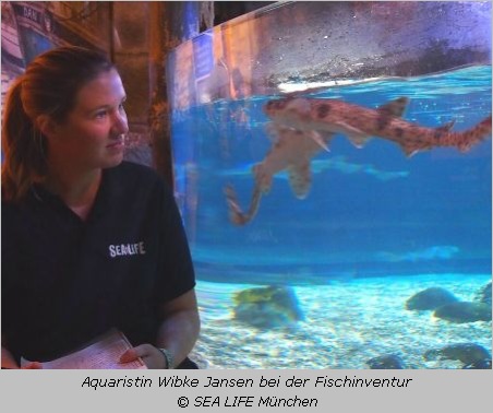 Aquaristin Wibke Jansen am Beckenrand