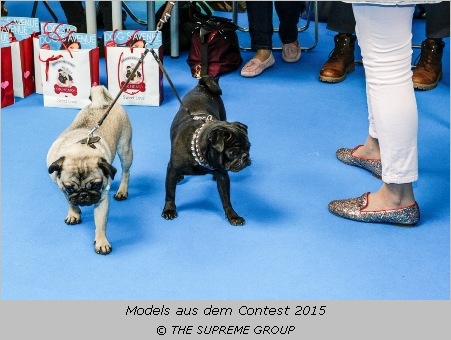 Ein heller und ein schwarzer Mops bei der Heimtiermesse München 2015  