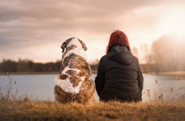 Frau und Hund sitzen am Weg und blicken auf einen See