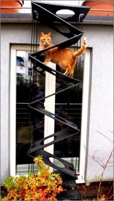 Katze geht über Falt-Katzenleiter am Haus herunter
