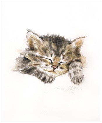 Portrait von Cecilie Halbleib  kleiner schlafender Katze