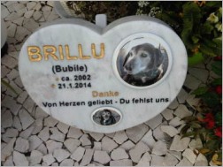 Steinherz mit Bild des verstorbenen Tieres am Tierfriedhof bei Hallbergmoos  