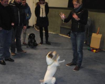 Marlene Kühn bei der Trickdog-Vorführung mit Hund Cyrano