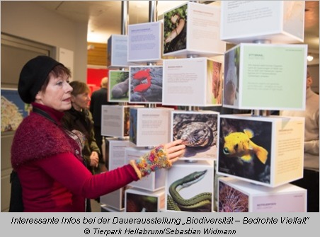 Besucherun betrachtet Infotafeln im Artenschutzzentrum Hellabrunn 