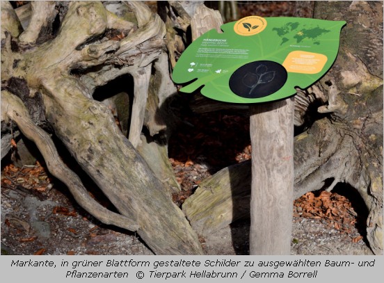  Baum-Schilder geben im Tierpark Hellabrunn seit Anfang 2020 Infos über die heimische Flora des Tierparks 
